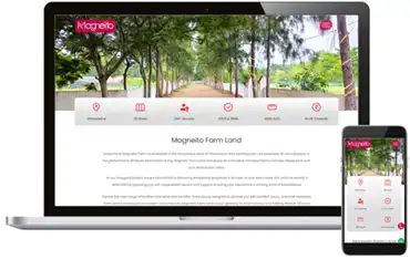 Magneito Properties